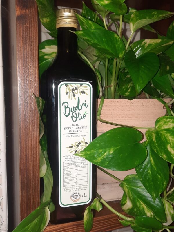 Olio Extra Vergine di Oliva